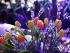 img_0943